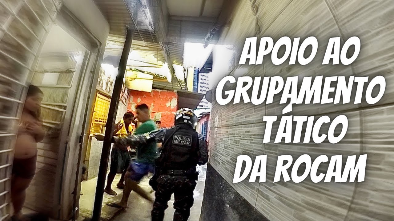 O GANSO QUE ATACOU O ROCAM 🦆🆚🦅 + PEDIDO DE APOIO 🦅