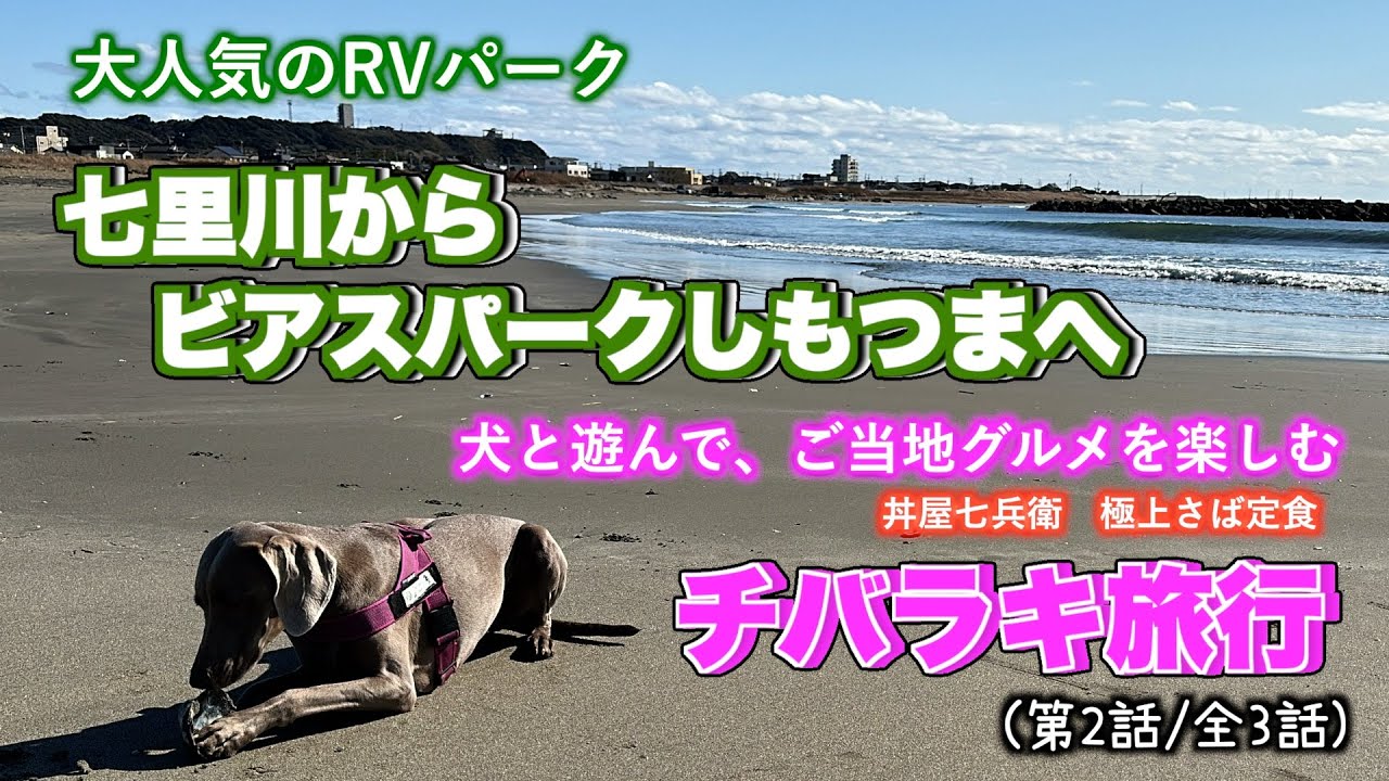 【軽キャンラクーンで行く】RVパーク 七里川からビアスパークしもつまへ (丼屋七兵衛の極上サさば定食)：犬と遊んで、ご当地グルメを楽しむチバラキ旅行（第2話/全3話)