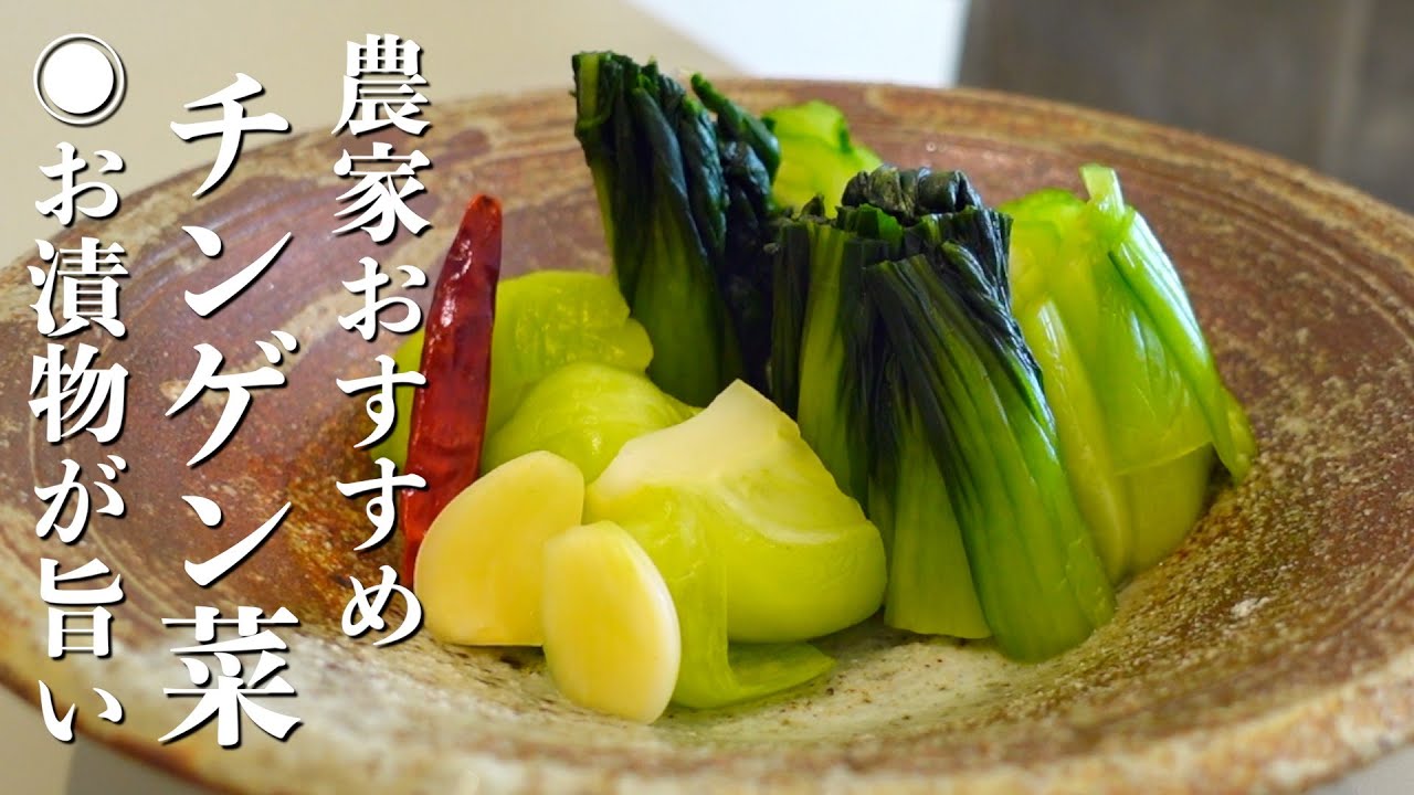 『切って袋に入れるだけ！』チンゲン菜の浅漬けの作り方。かんたん旨い！