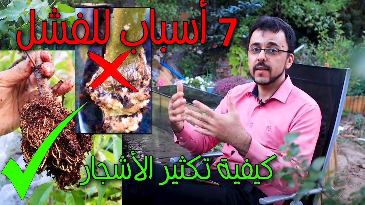 الترقيد الهوائي ونسخ الأشجار،تجنب 7 أخطاء تؤدي لفشله، إليك الطريقة والنتيجة