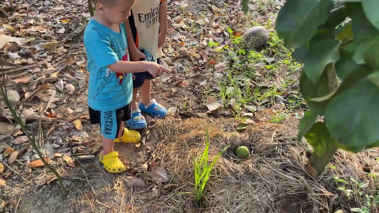 3 cha con đi thăm vườn 