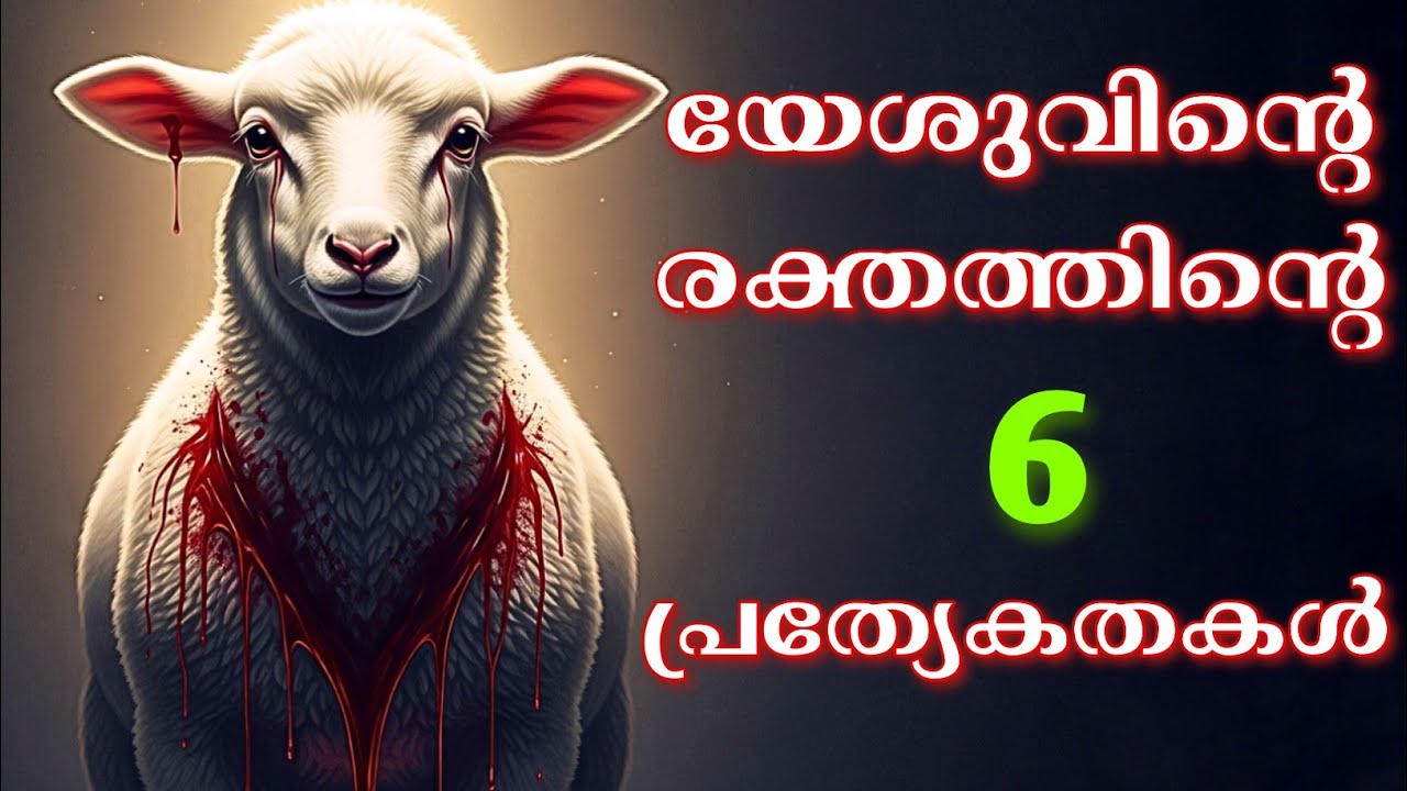 യേശുവിന്റെ രക്തത്തിന്റെ 6 പ്രത്യേകതകൾ | Risen in him
