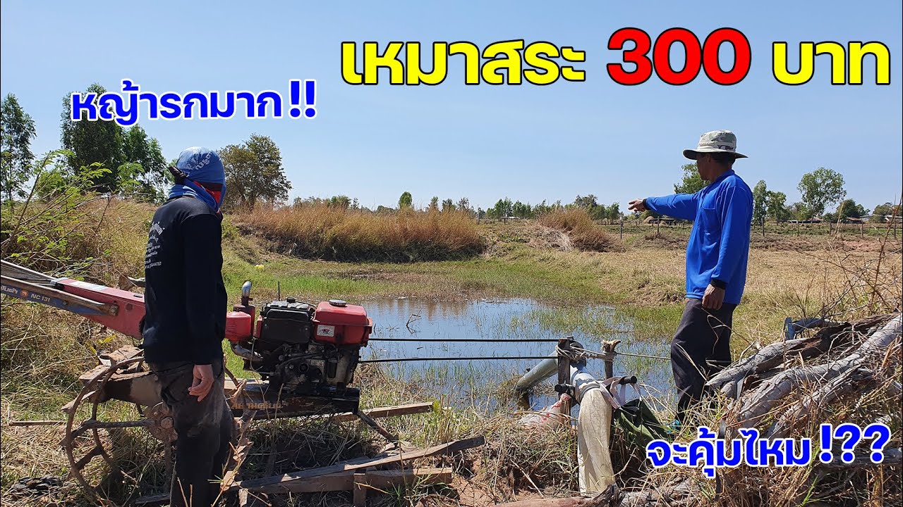สระแบบนี้ก็มีปลา ทั้งหญ้า ทั้งรก เหมาสระ 300 บาท