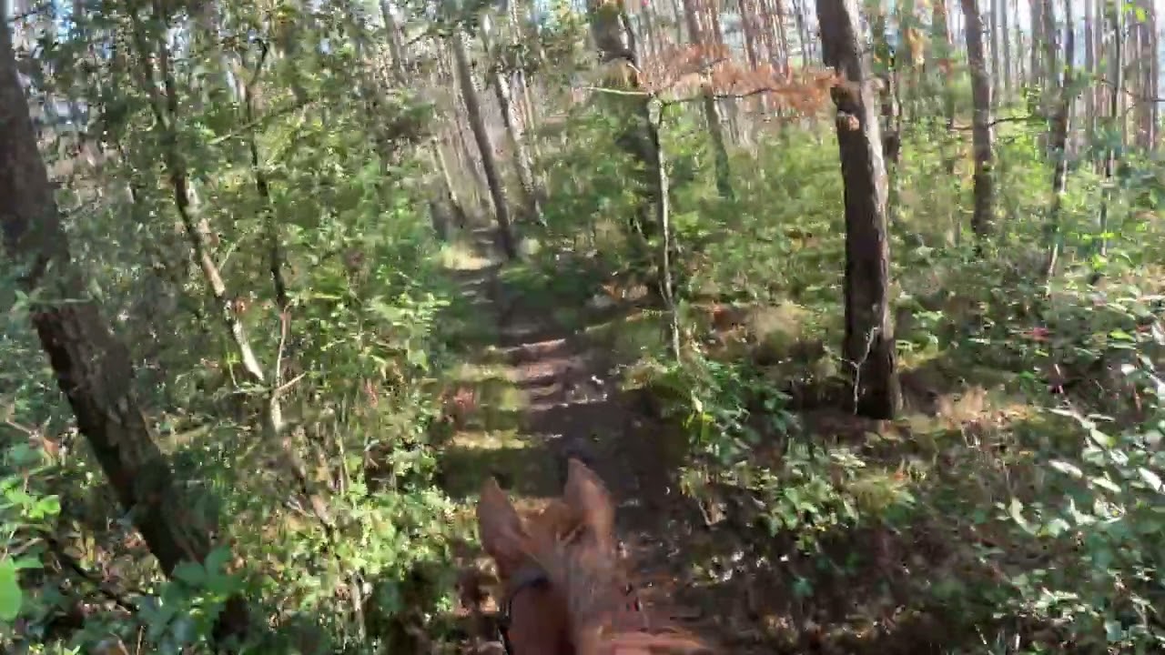 Longue balade à cheval