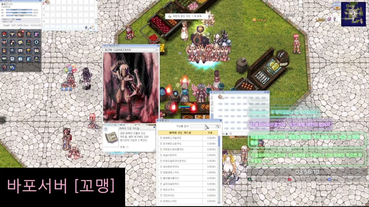 마력이 깃든 카드첩 300개
