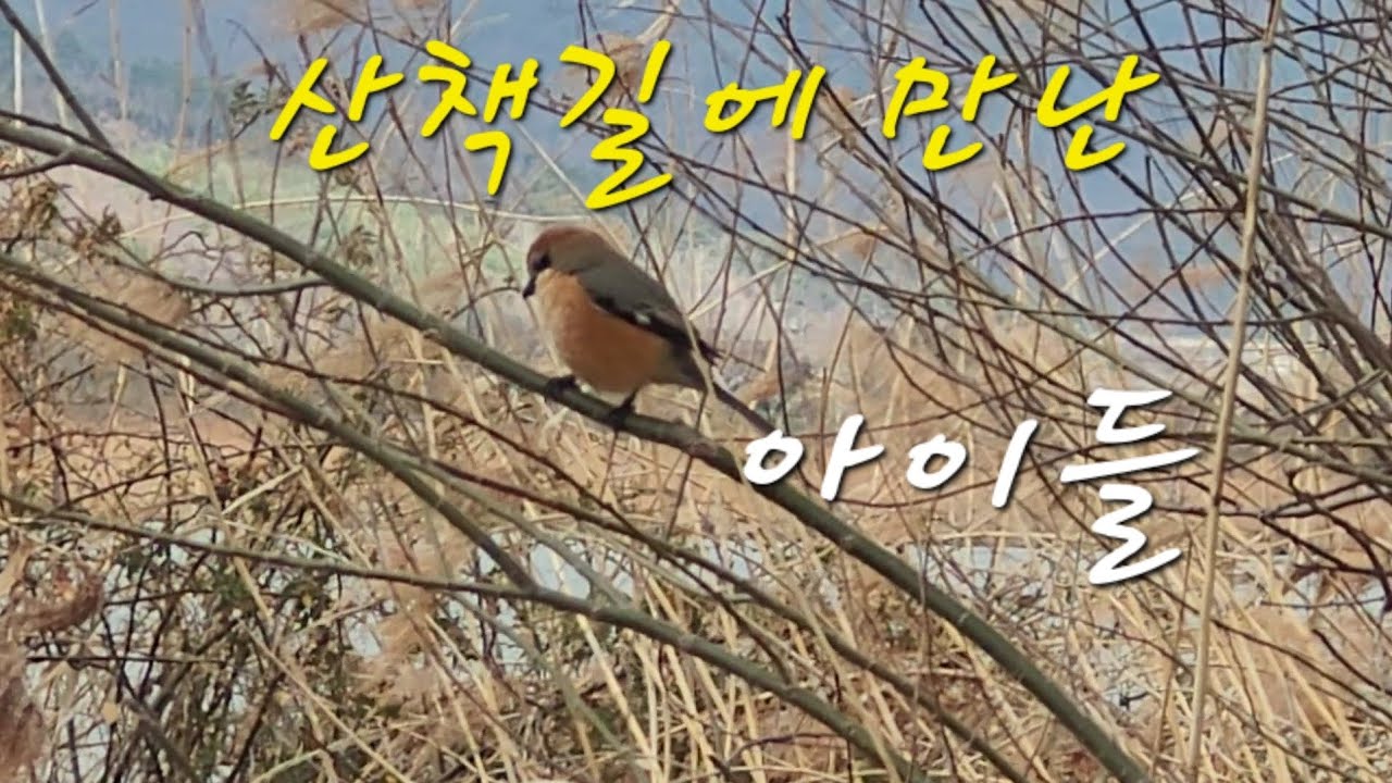 아침산책길에 만난 아이들 
