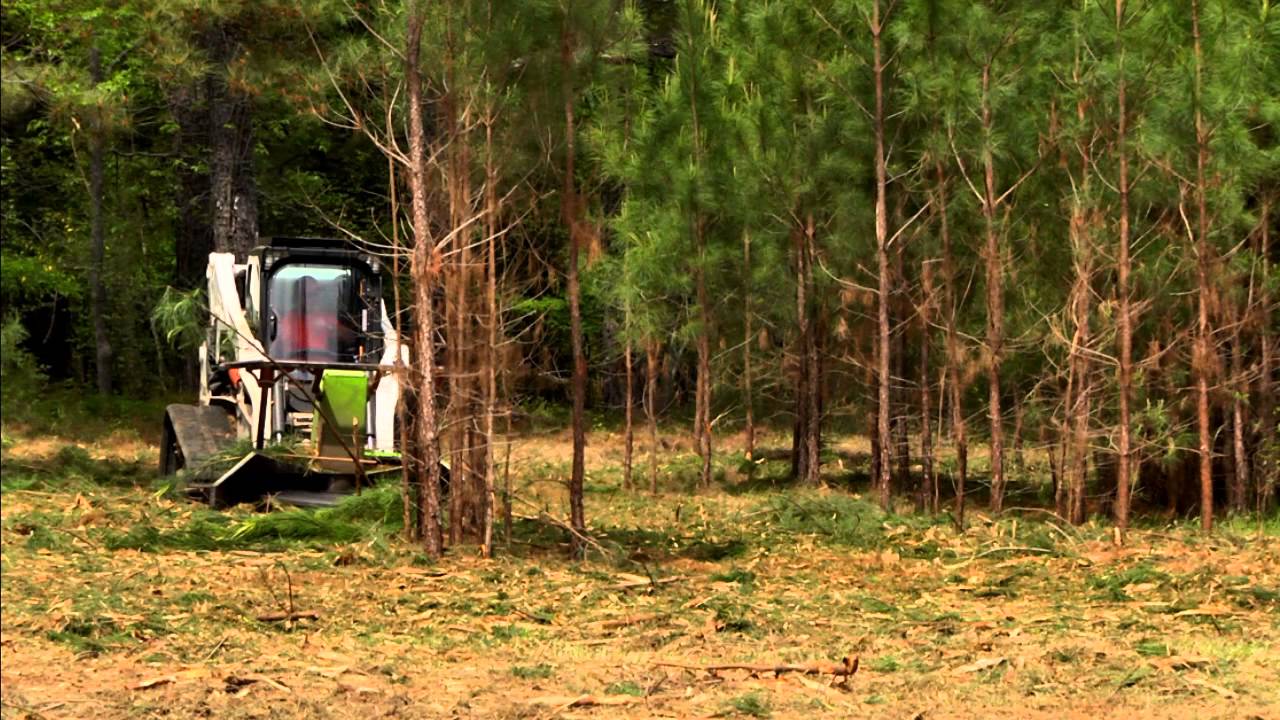 Georgia Brush Mowing uses the Monster Mulcher to clear trees Mega Fasst!!!