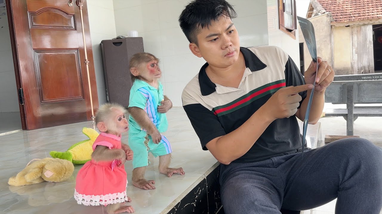 Very touching 😭 Monkey SinSin & ZiZi happily welcomed Dad home after going to the doctor