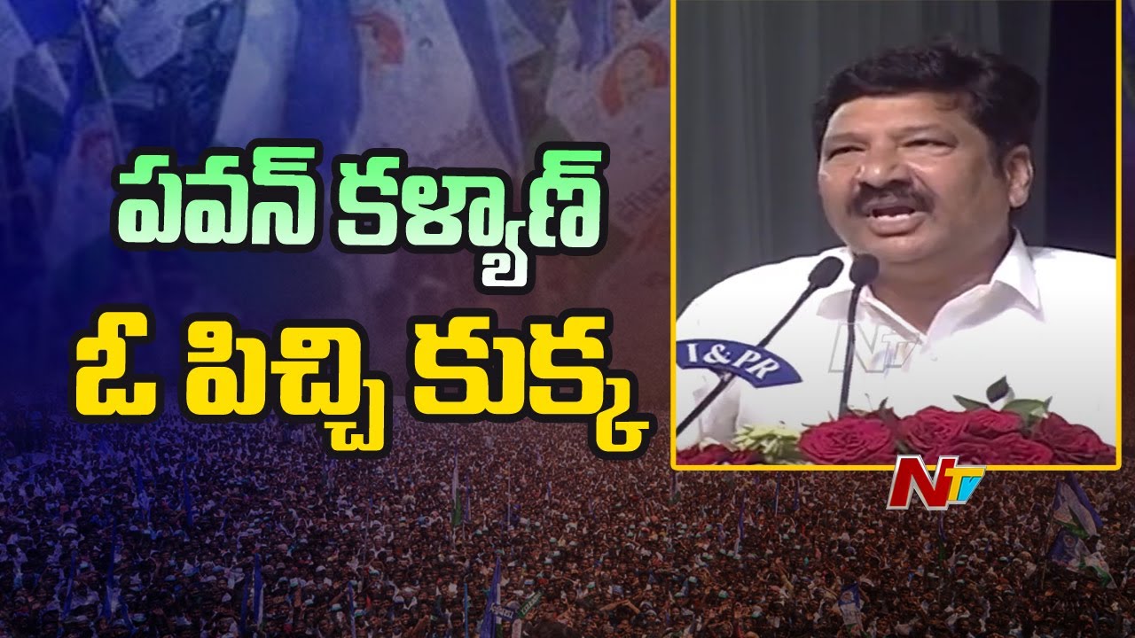 Pawan Kalyan is a Mad Dog: Jogi Ramesh Sensational Comments On Pawan Kalyan | Ntv