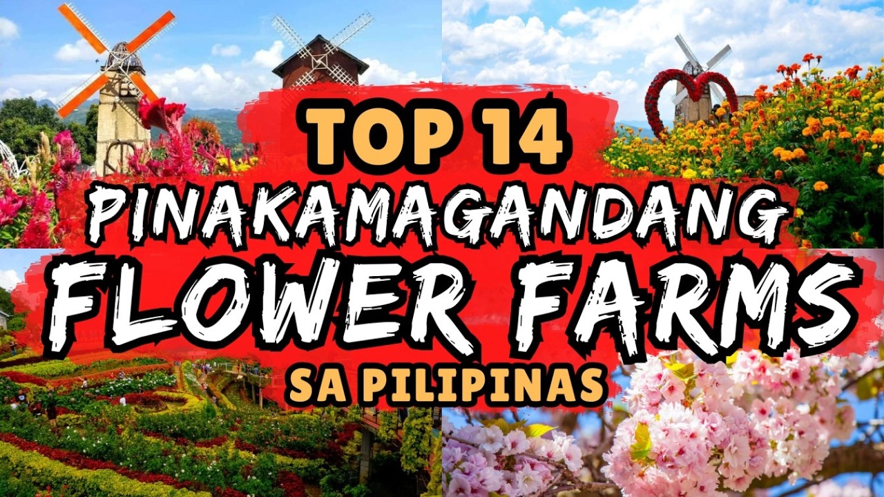 TOP 14 PINAKAMAGAGANDANG FLOWER FARMS SA PILIPINAS NA DAPAT MONG PUNTAHAN