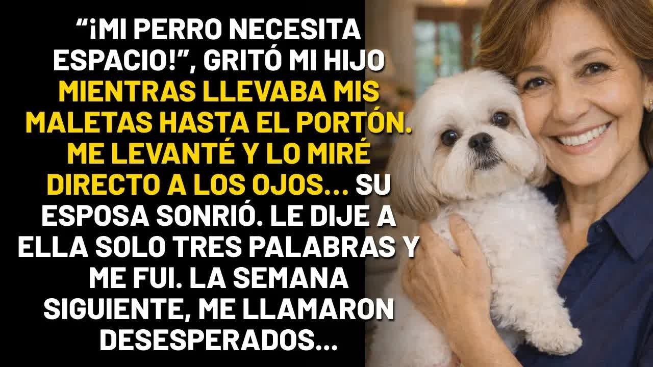“¡Mi perro es la prioridad!” Mi hijo me echó de la casa. Yo le dije tres palabras a su esposa...
