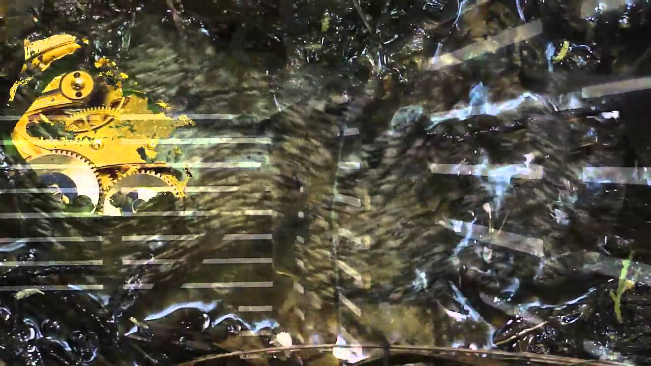 Ross Ackerman 'Trickle'