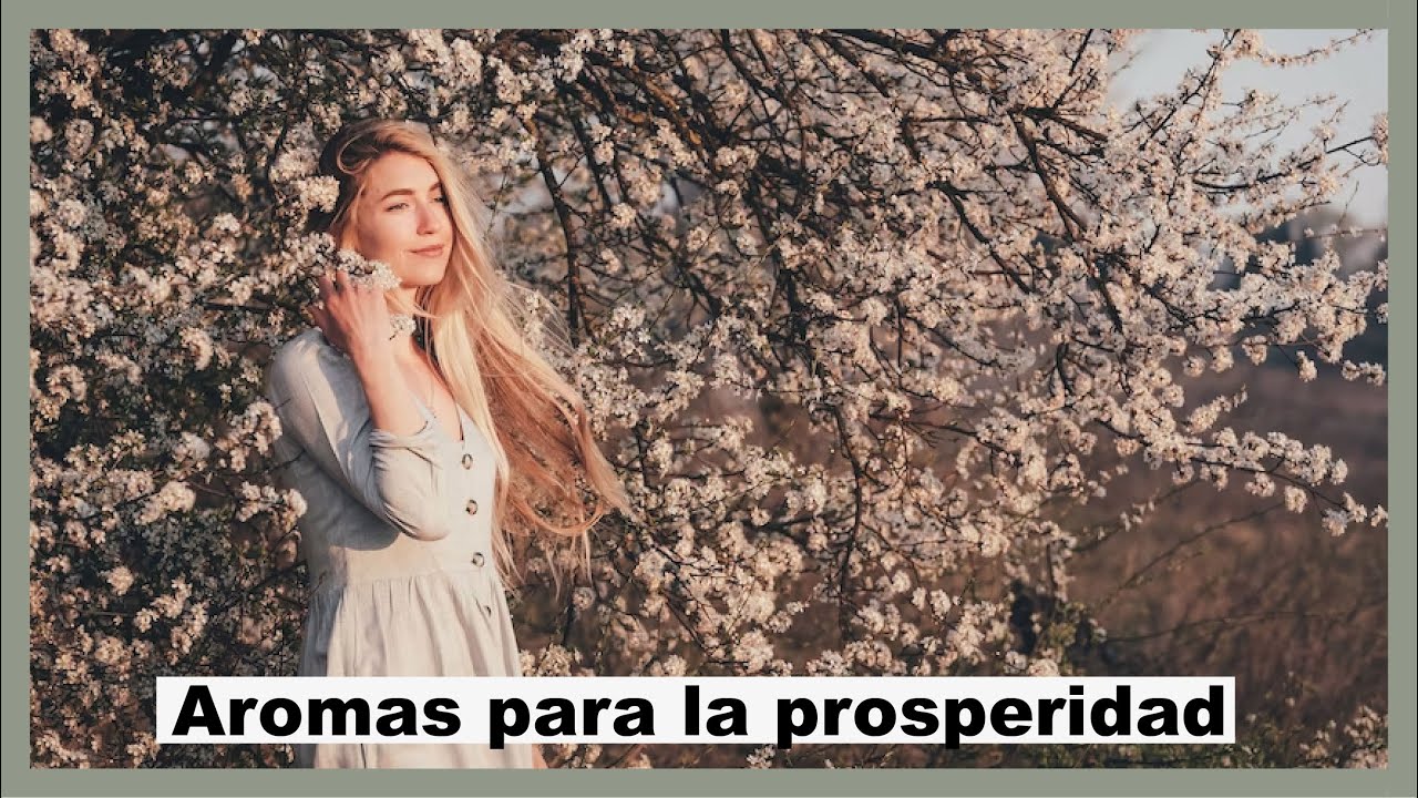 Aromas para tu prosperidad y armonía