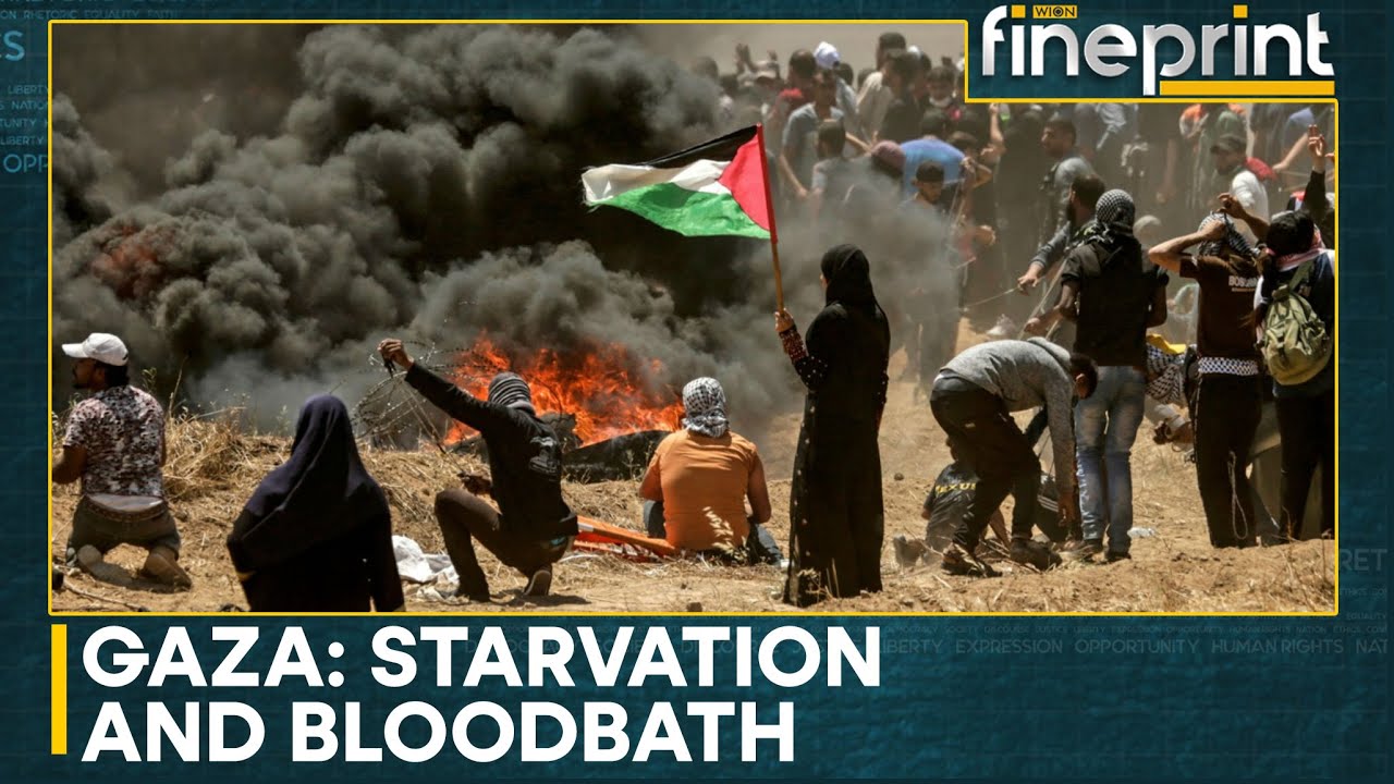 Israel-Hamas War: Are airdrops an effective way to deliver humanitarian aid to Gaza? |WION Fineprint