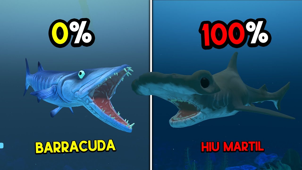 Gue Jadi Ikan BARRACUDA GIGI TAJAM Sampai Dapat HIU MARTIL RAKSASA... Feed And Grow Fish