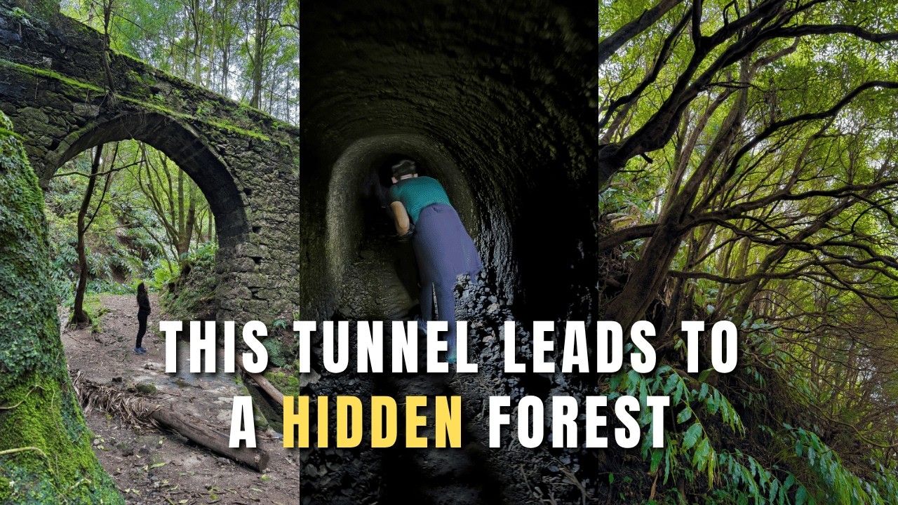 Our Favorite HIDDEN Forest in Azores, Portugal | Janela do Inferno Hike