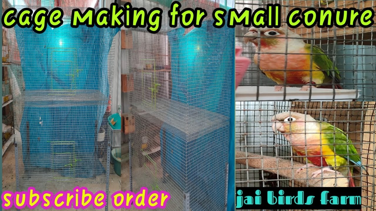 conure cage making / தமிழ்/ jai birds farm/ subscribe order