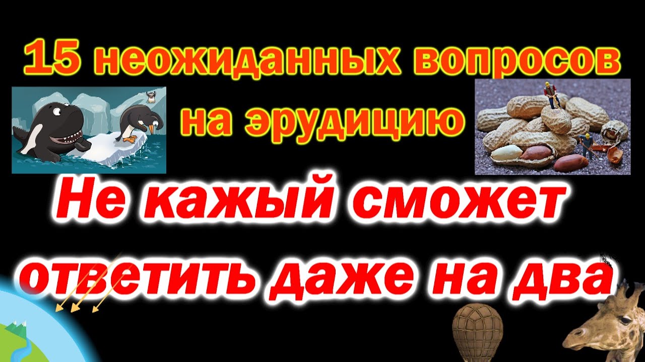 Тест для прокачки мозга. Проверим насколько ты эрудирован