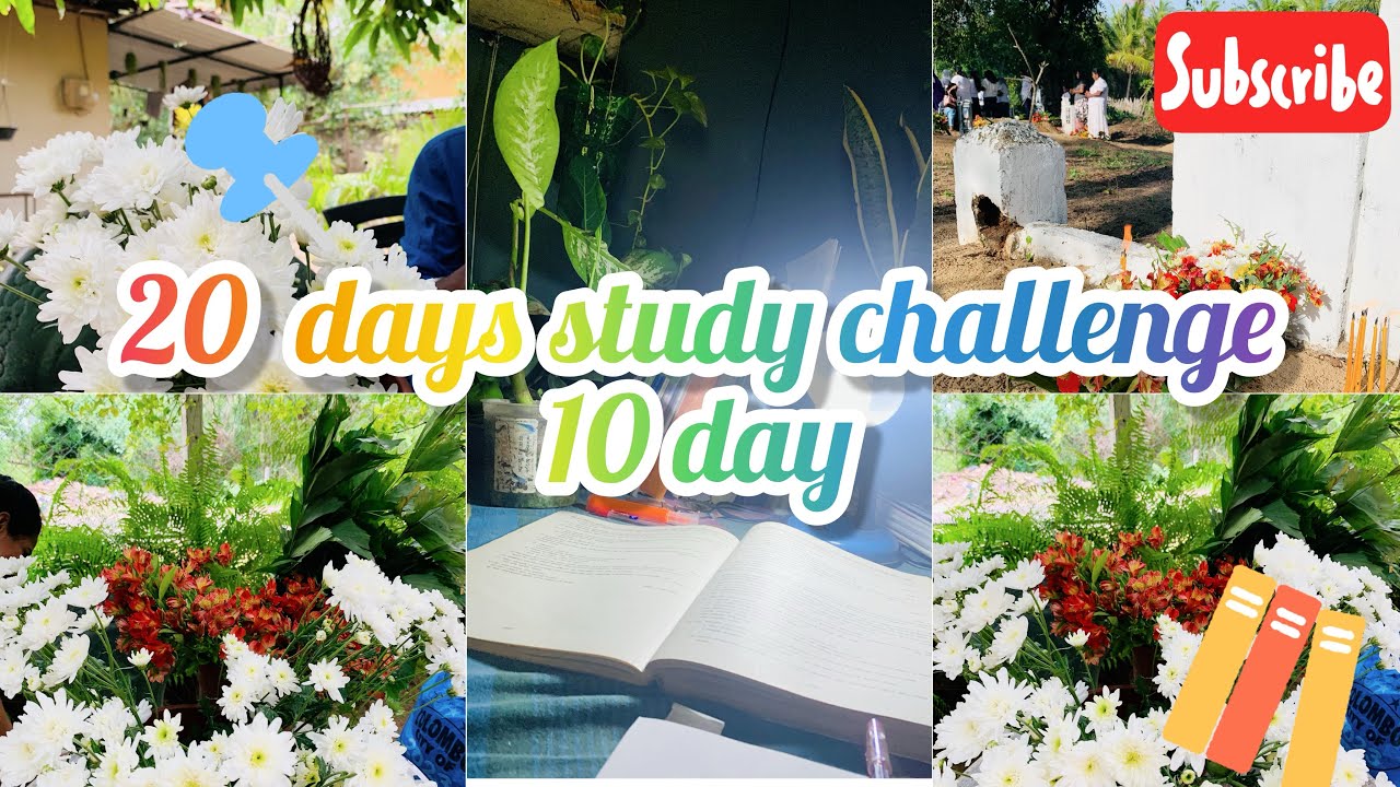 20 days study challenge /10 day  මල් පොකුරුත් හදන් අපි මොනවද කරෙ