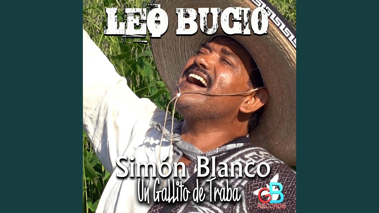 Simon Blanco un Gallito de Traba