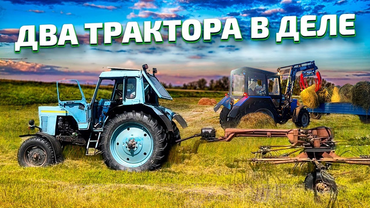 А у нас Сенокос! Часть 2! Новости Молодой фермы