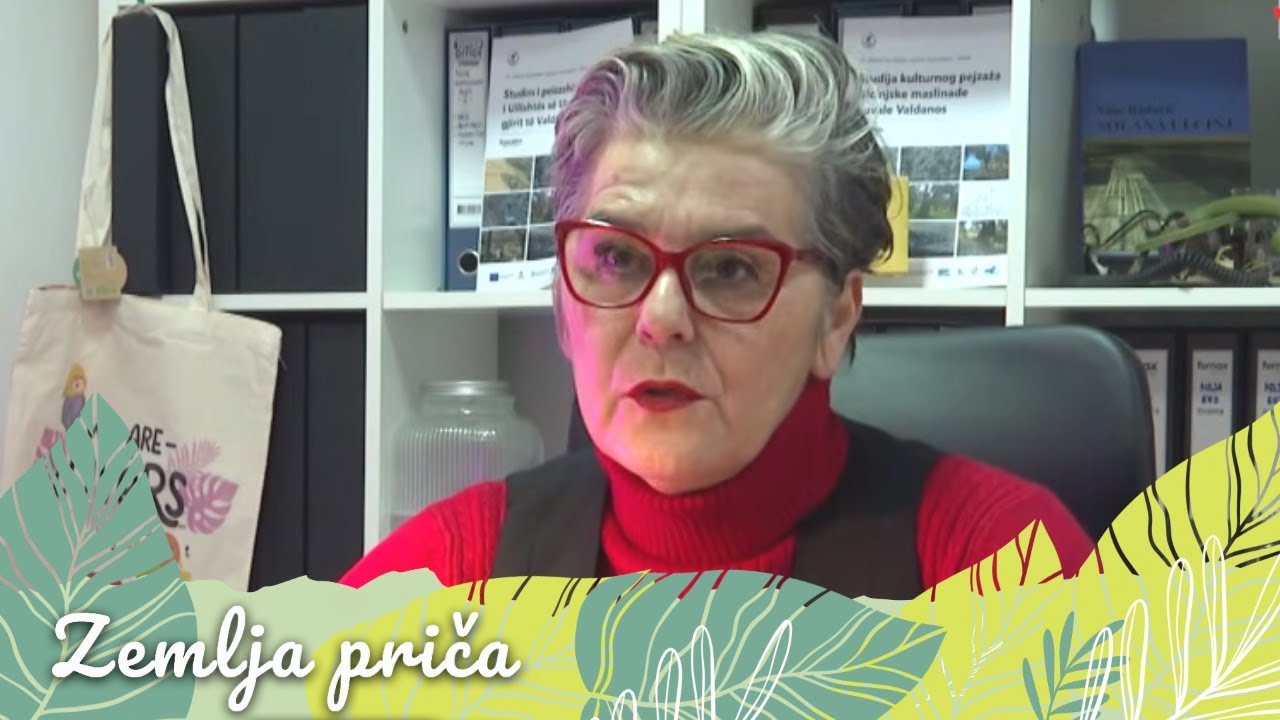 Da li je na pomolu rješenje za ulcinjsku Solanu? - ZEMLJA PRIČA