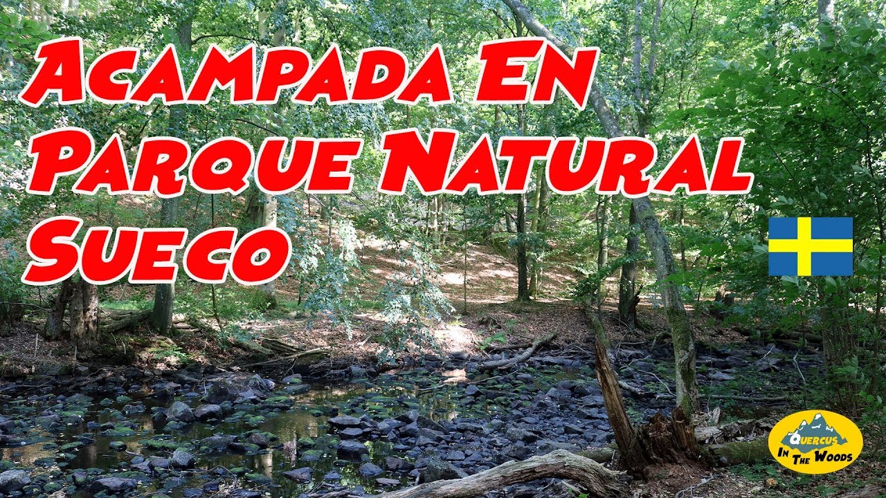 Acampada en Parque Natural Sueco