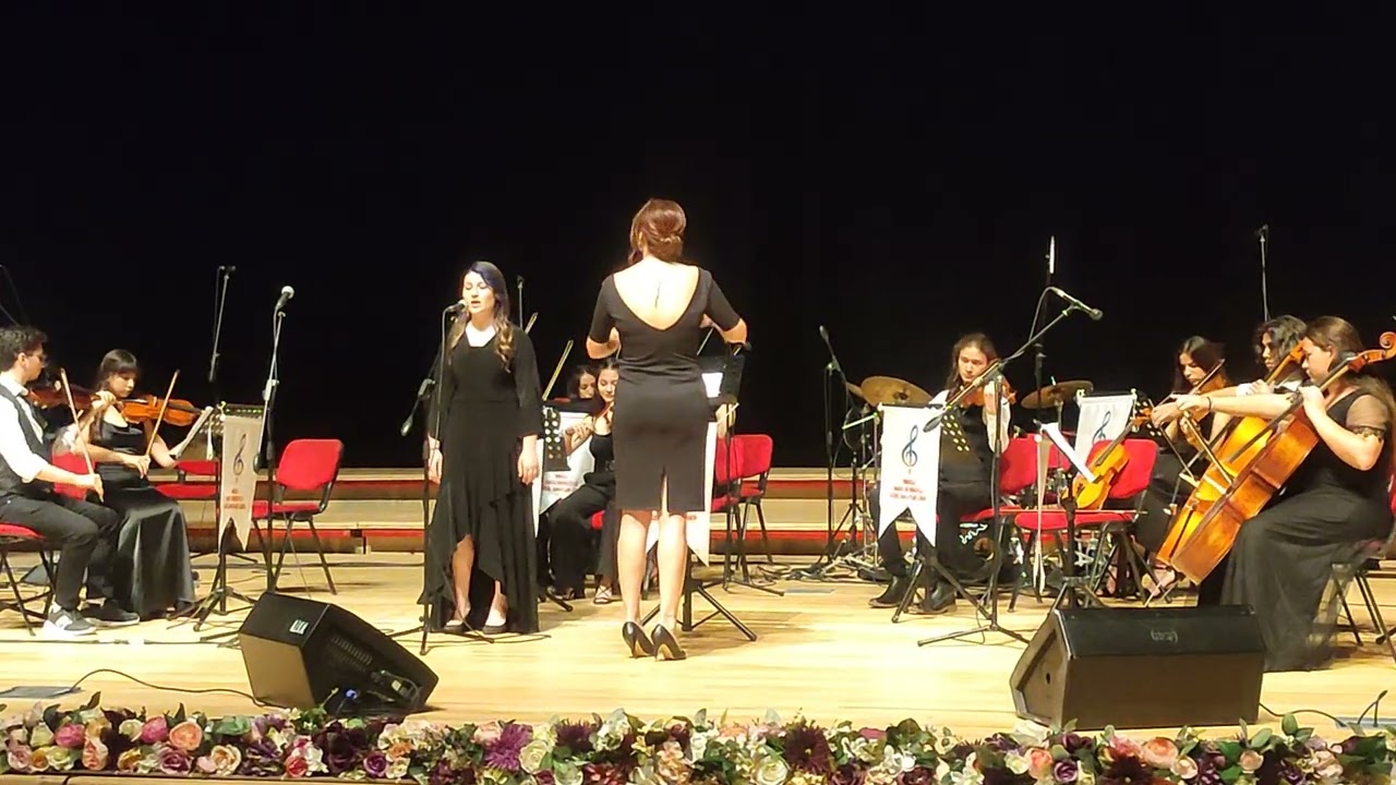 G&uuml;zel Sanatlar lisesi Denizli 2022 mezuniyet
