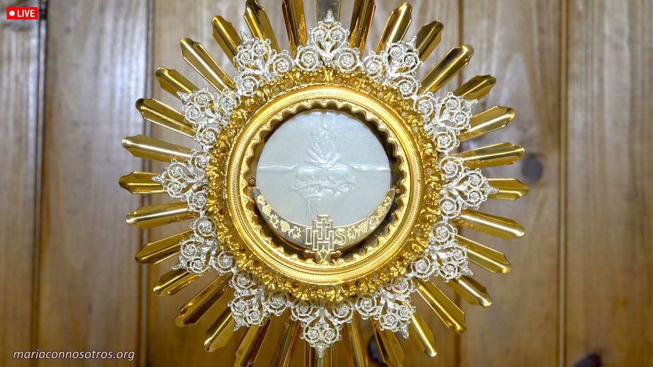 Perpetual Eucharistic Adoration live / Eucharistic Adoration Live Stream / Catholic Masses