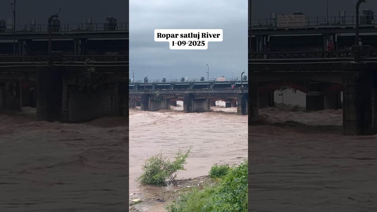 Flood in Ropar Punjab⛈️
