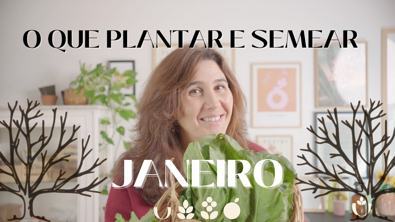 Planta e semear em Janeiro