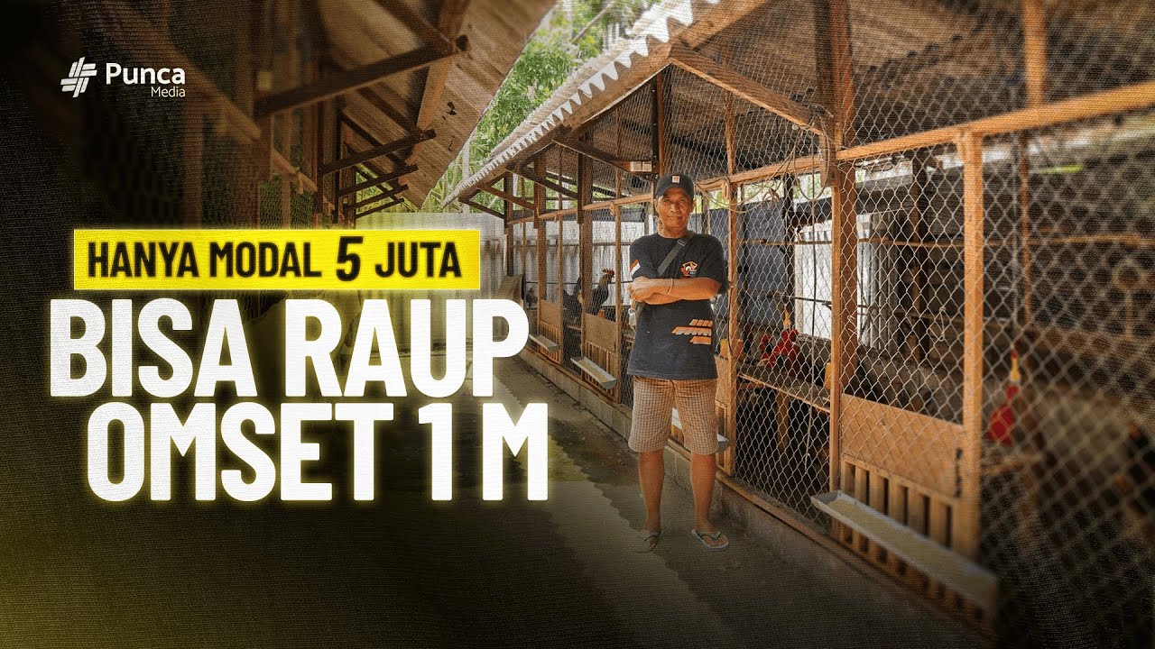DARI NOL SAMPAI OMZET MILIARAN! Ini Strategi Sukses Usaha Ayam KUB