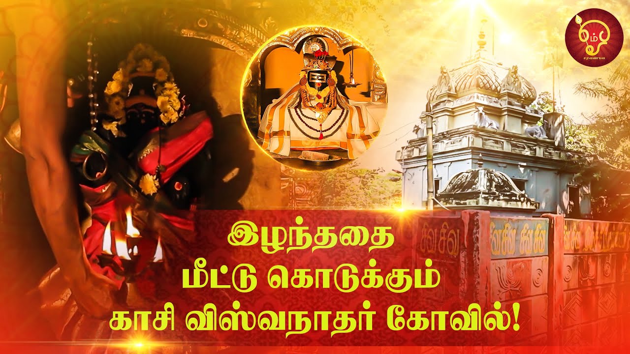 குழந்தை இல்லாதவங்கதான் அதிகம் வருவாங்க! Kashi Vishwanath Temple | Kovil kadhaigal | Achuthamangalam