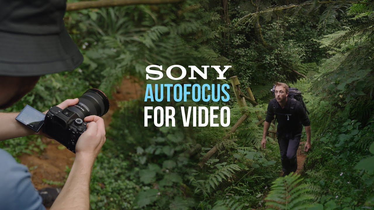 Лучшие настройки автофокуса для камер Sony A7IV, A7sIII, FX3, A7III, FX30, A6600, A7c — КИНОТЕАТР...