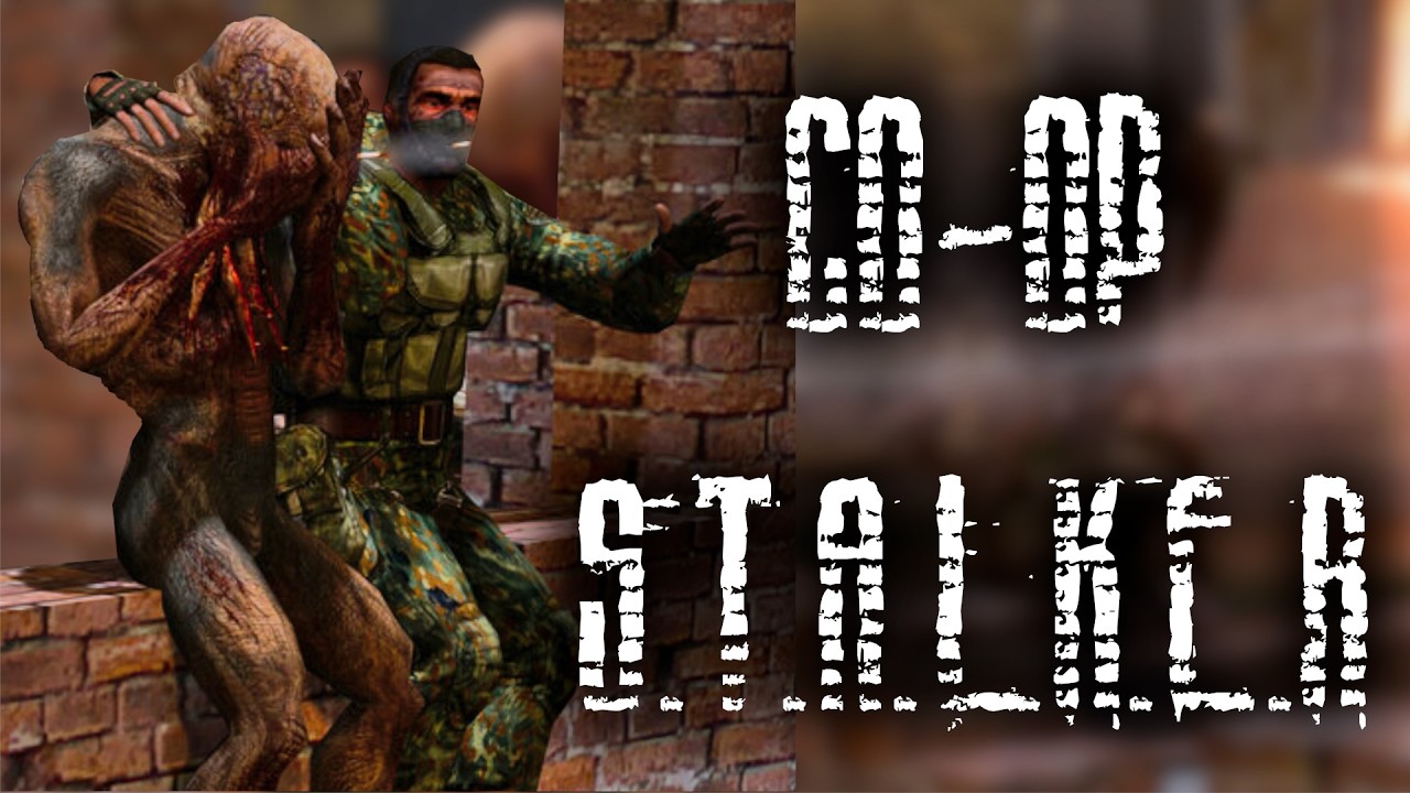 Average S.T.A.L.K.E.R Co-Op Experience