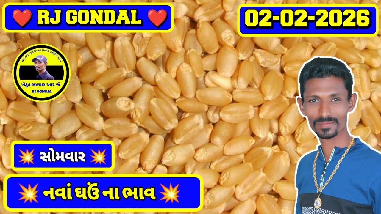 નવા ઘઉં ના ભાવ | 02-02-2026 | ગોંડલ નવા ઘઉંના ભાવ | Wheat Market Price | RJ Gondal Marketing Yard