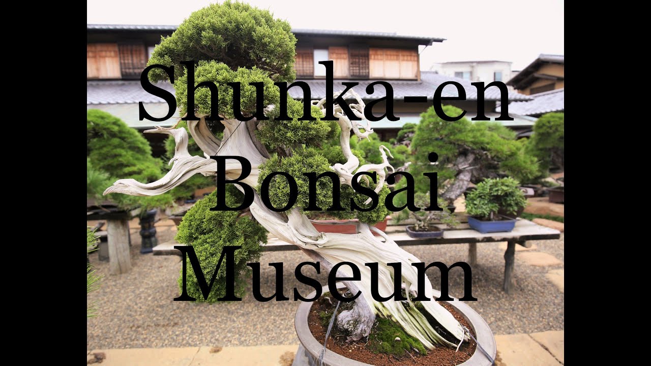Shunka-en Bonsai Museum, by Kunio Kobayashi (Part 2)