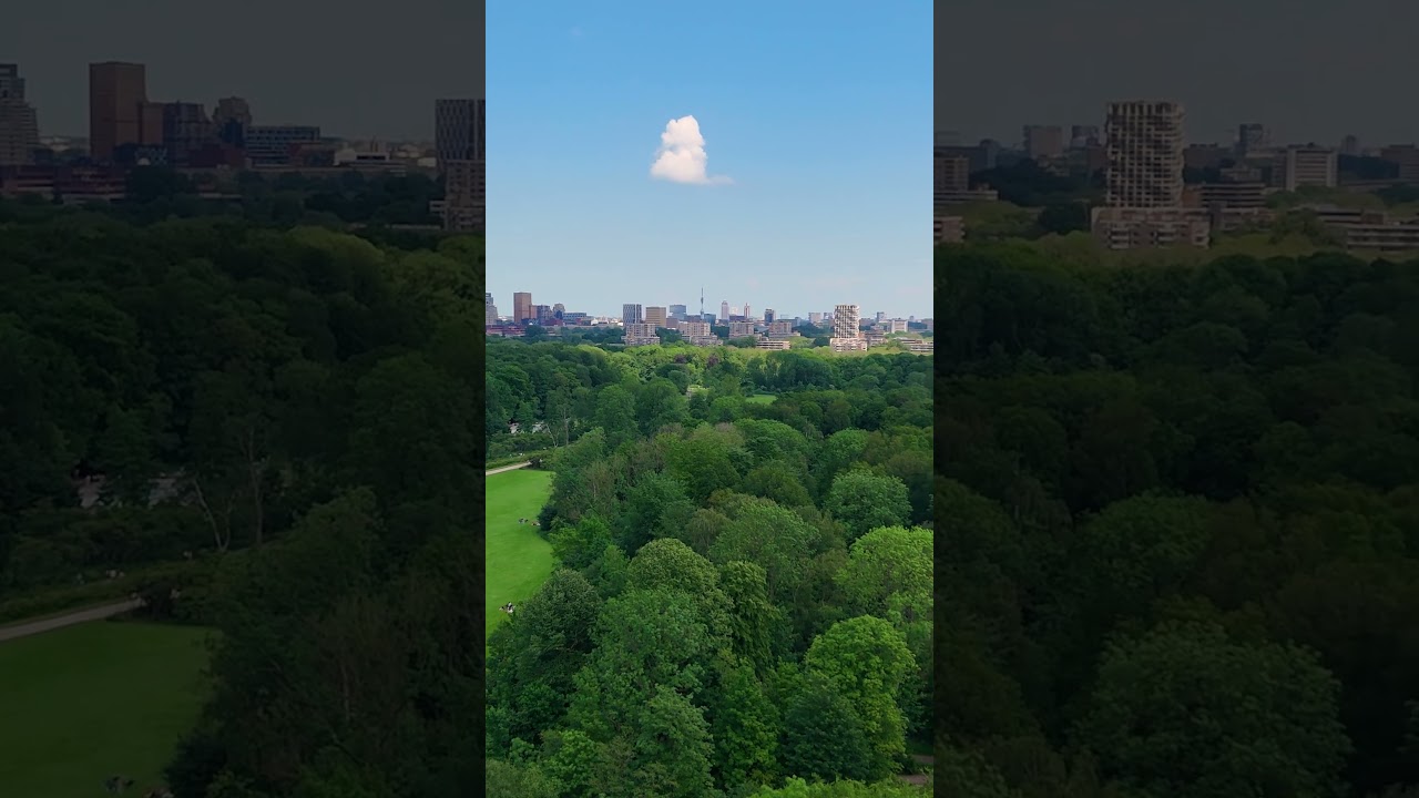 Amsterdam Forest - May 2024