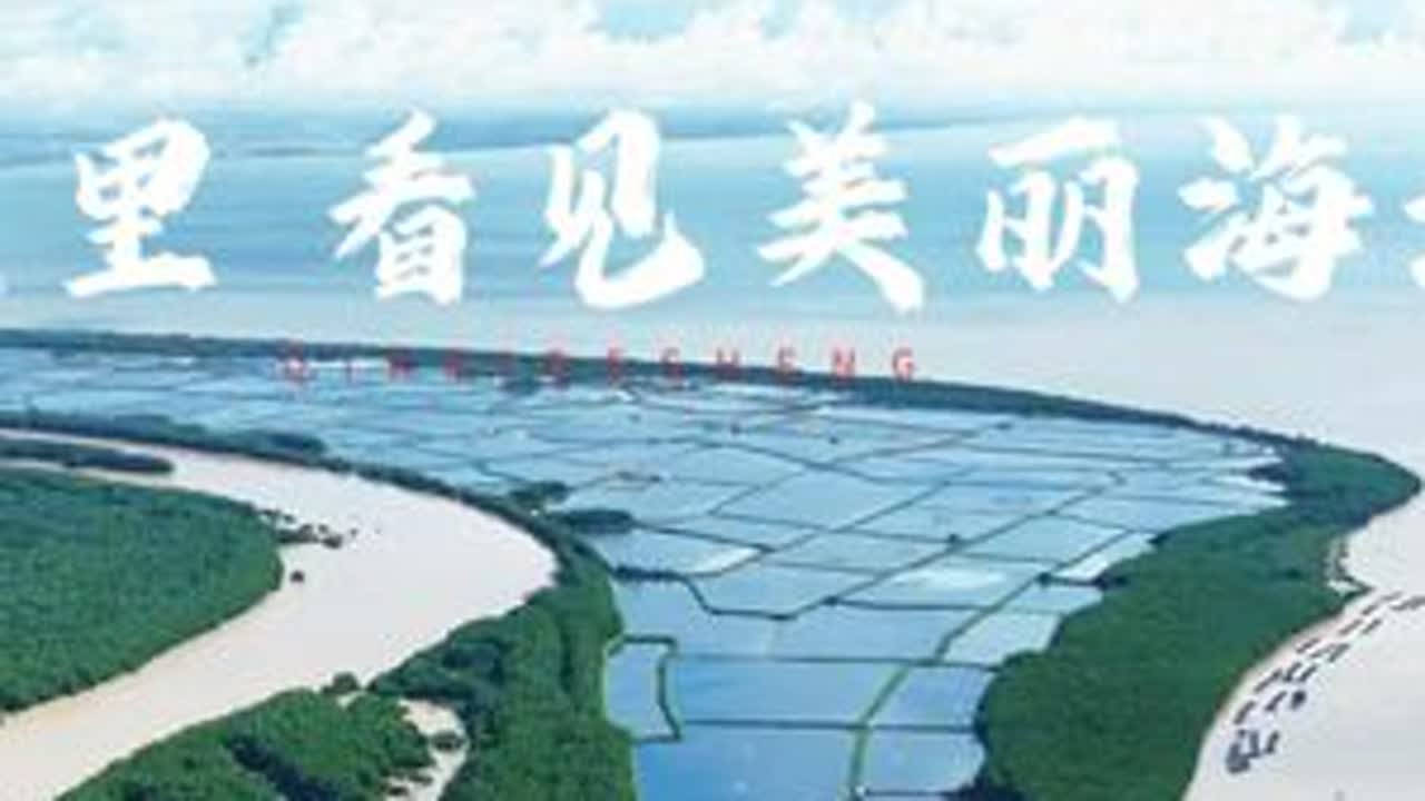 从这里 看见美丽海湾。在雷州半岛的东海岸线，有一片宝藏般的存在，那就是漫长海岸线上的明珠，美丽雷州湾。#人与自然和谐共处 #广东dou是好风光 #看见美丽海湾 @云媒文化 #百千万工程 #乡村振兴