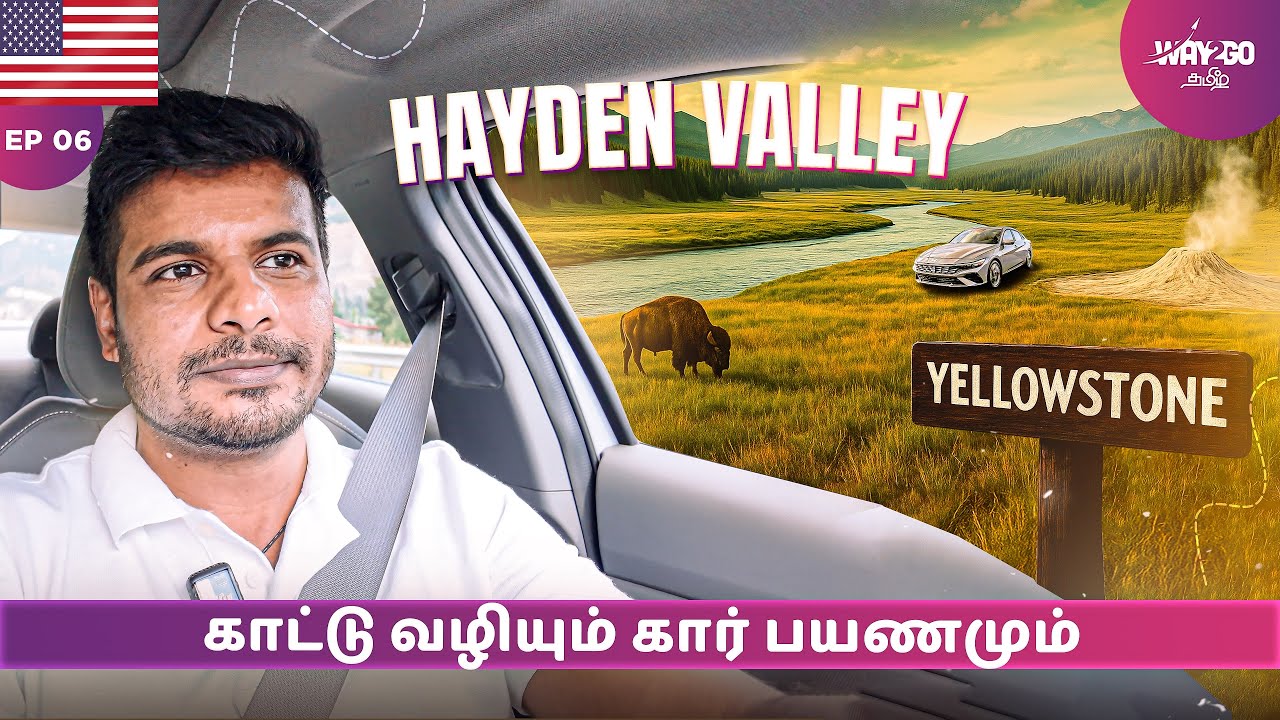 Hayden Valleyயில் ஒரு திரில்லிங்கான கார் பயணம்🚗 🌋🌄| Yellowstone | Episode 6