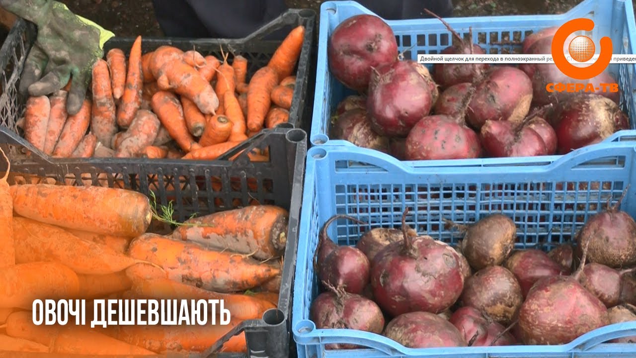 Овочевий кошик подешевшав: у Рівному знизилися ціни на продукти борщового набору