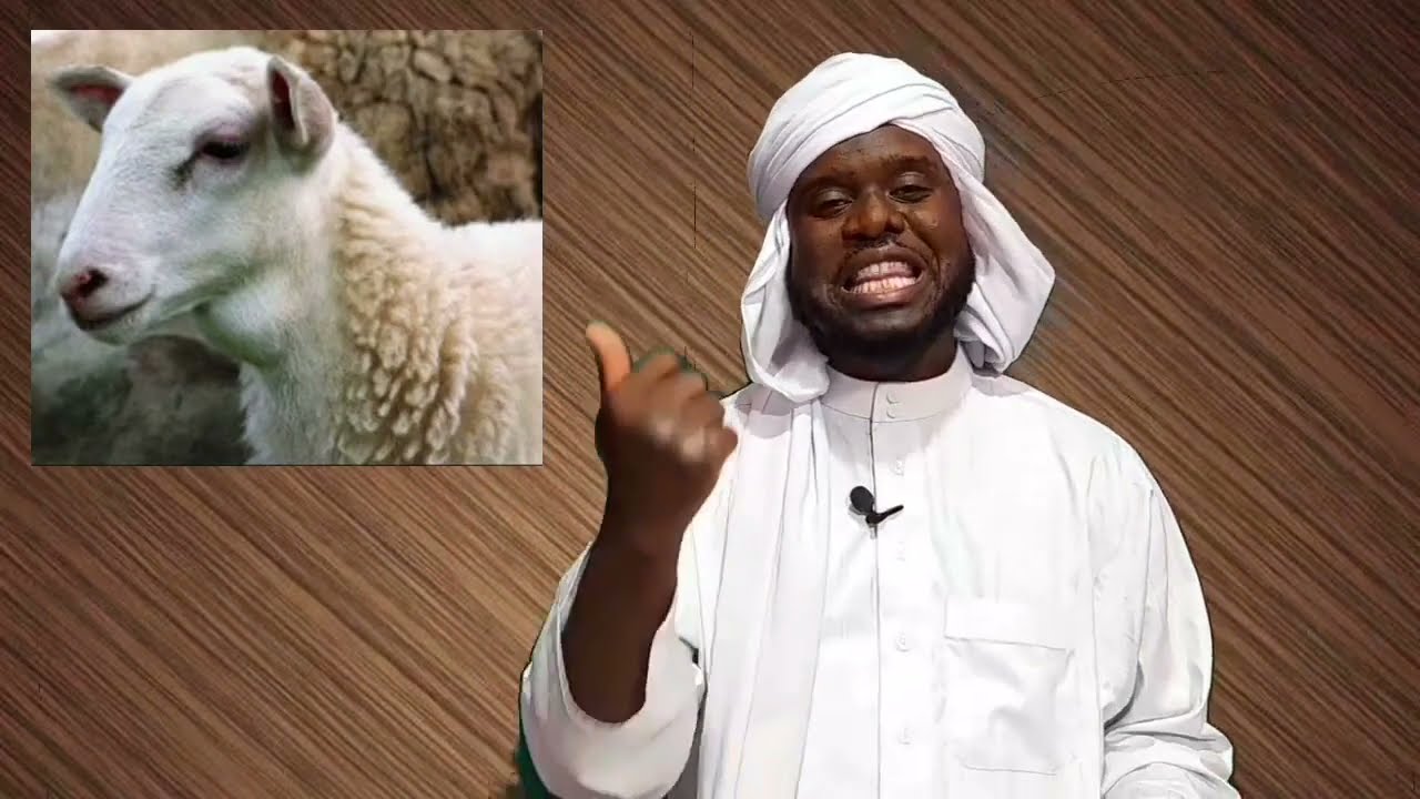 كبش فيه لابسي هل يصلح كأضحية ؟ - الشيخ عبد الوهاب  الجزائري