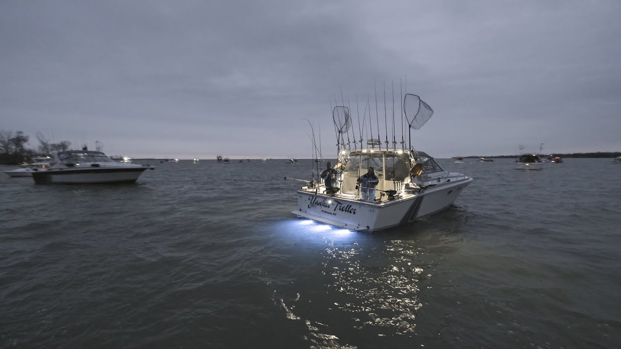 Lake Ontario Salmon Fishing - Spring King of the Lake Tournament 2019