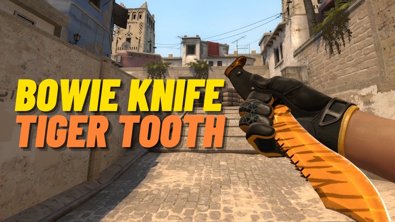 ★ Bowie Knife Tiger Tooth | CSGO Knife Showcase
