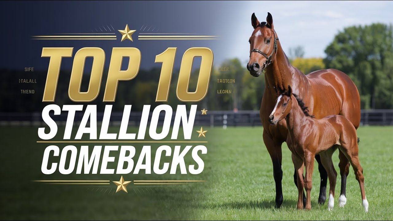 10 Legendary Stallions Who Proved Everyone Wrong After Getting A Second Chance