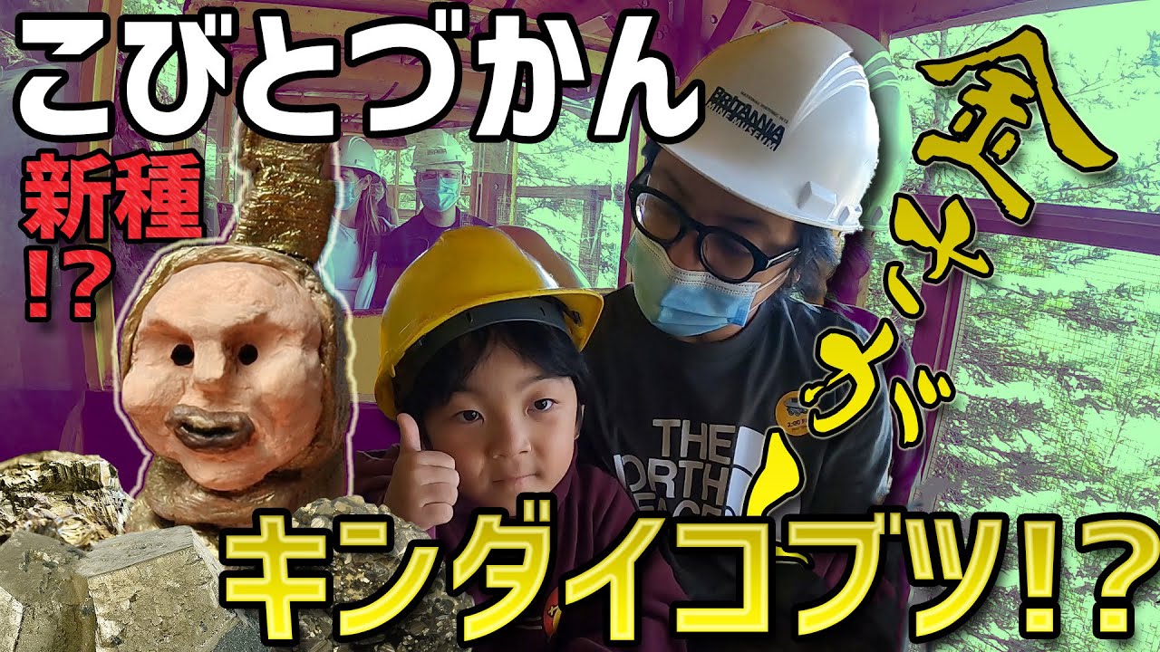 【こびとづかん】新種のこびと!? 特別な冒険に行ったよ！