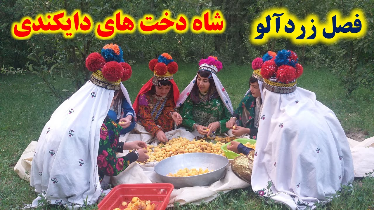 فصل زرد آلو با شاه دخت های دایکندی