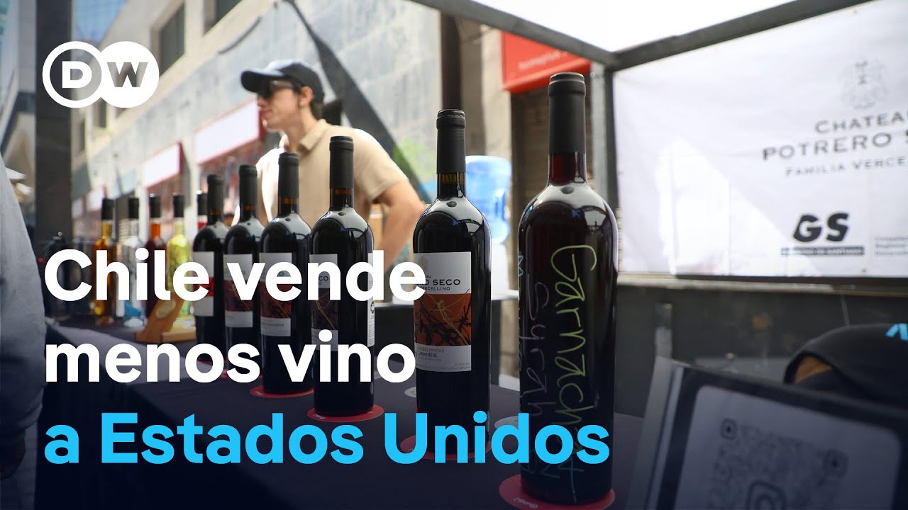 La exportaci&oacute;n de vino chileno crece en Brasil y cae en EE.UU. por los aranceles