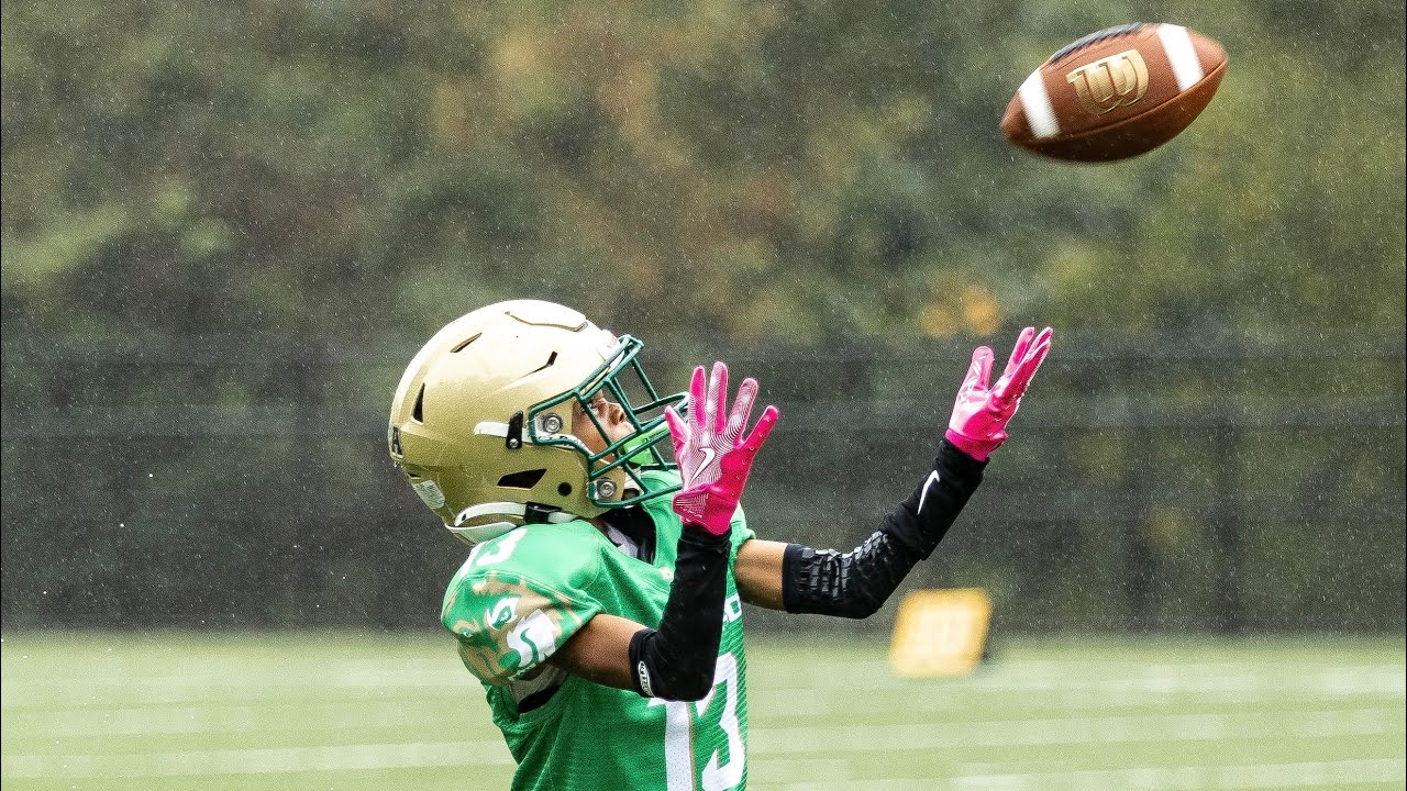 Julian Cummings - Buford Wolves 9U Highlight