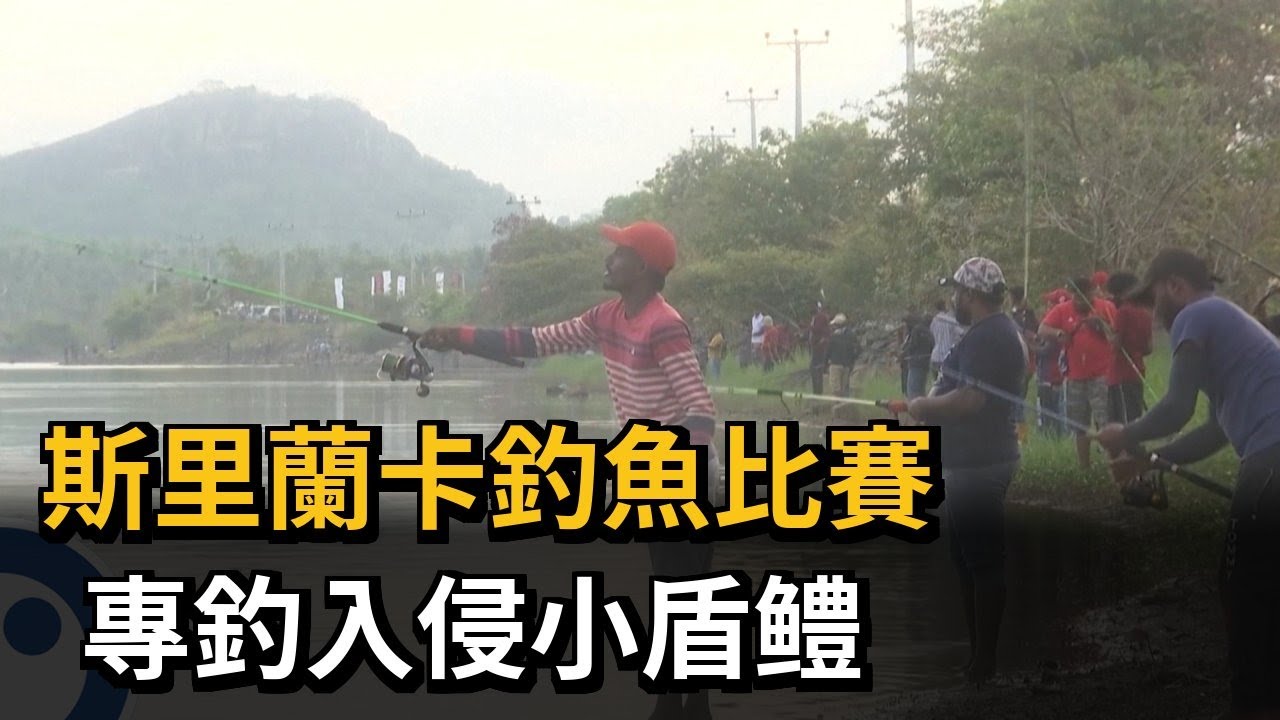 斯里蘭卡釣魚比賽　專釣入侵小盾鱧－民視新聞